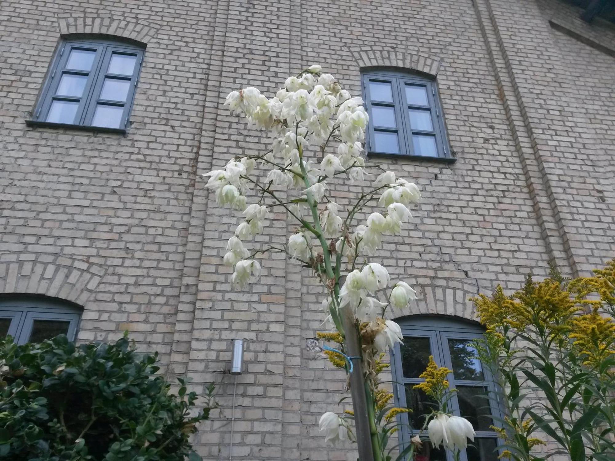 Skelstrupgaard Apartments Maribo Exterior foto